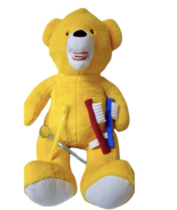 SUNRAY Big bear — 155cm